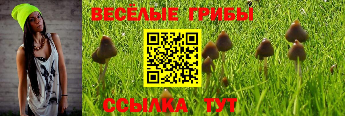 Гулькевичи  Галлюциногенные грибы Magic Shrooms  дарнет шоп  Вход с VPN 